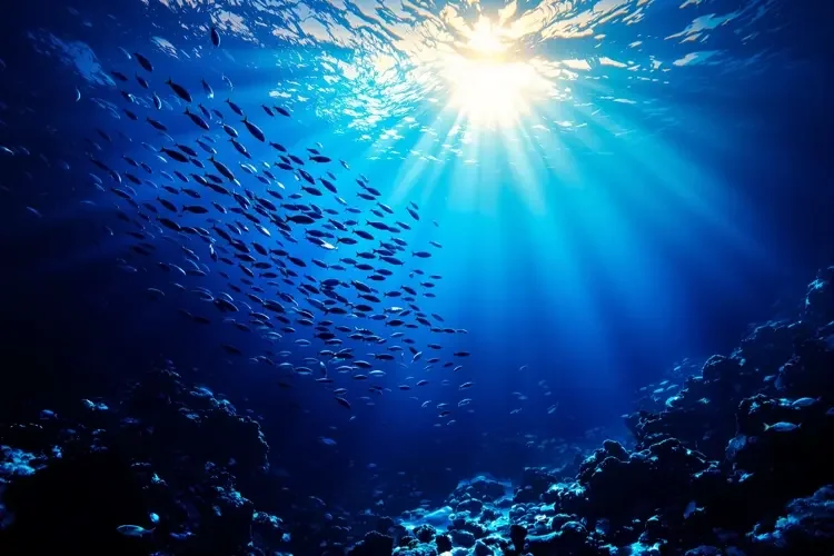 纪实影像 分类